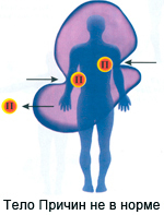 Описание изображения