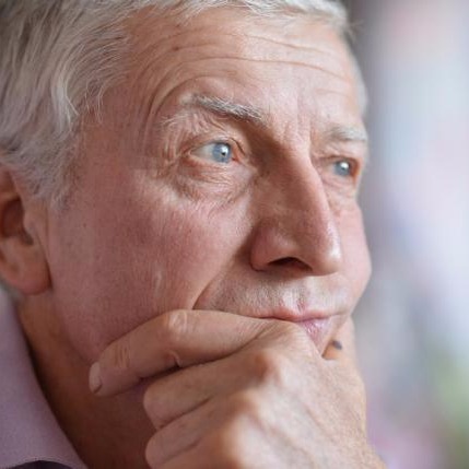 Описание изображения